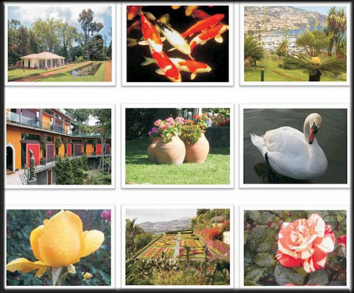 madeira gardens